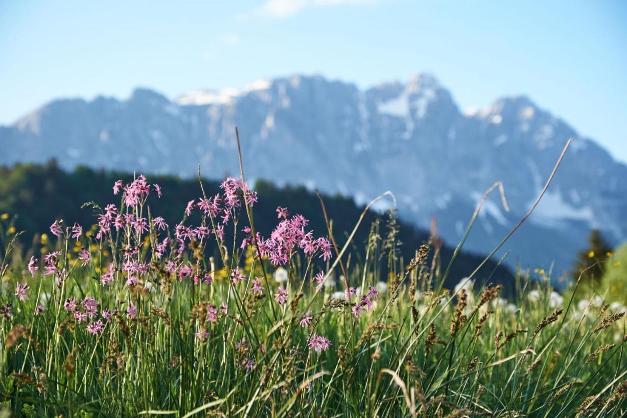 Chalet - Apartment - Mit Liebe Dekoriert Oblarn Zewnętrze zdjęcie